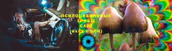 ПСИЛОЦИБИНОВЫЕ ГРИБЫ Баксан