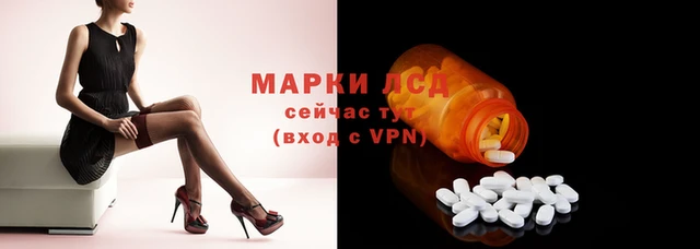 ПСИЛОЦИБИНОВЫЕ ГРИБЫ Баксан