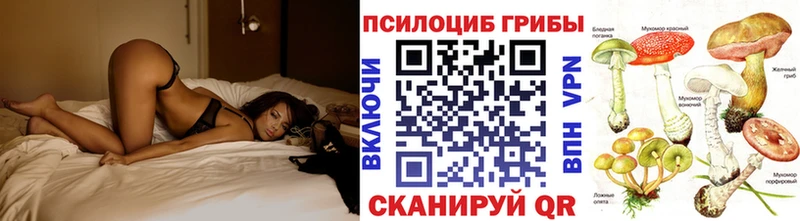 Псилоцибиновые грибы Psilocybine cubensis  Нерюнгри 